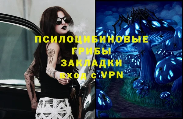 прущие грибы Ступино