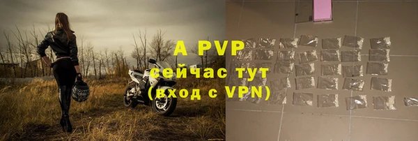 Альфа ПВП Белокуриха