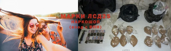 Альфа ПВП Белокуриха