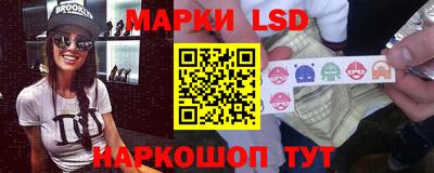 шишки Будённовск