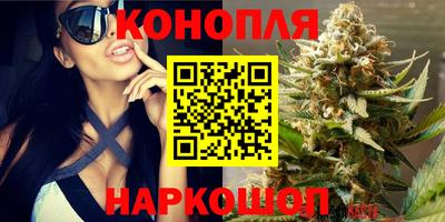 шишки Будённовск
