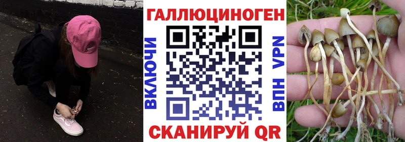 Псилоцибиновые грибы MAGIC MUSHROOMS  магазин  наркотиков  Воркута 