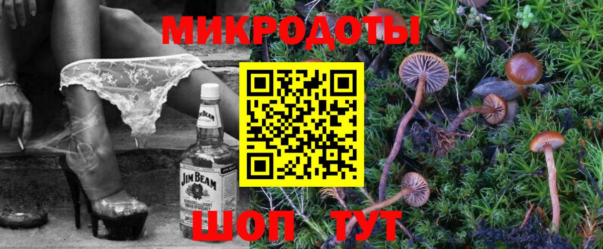 Галлюциногенные грибы Воркута