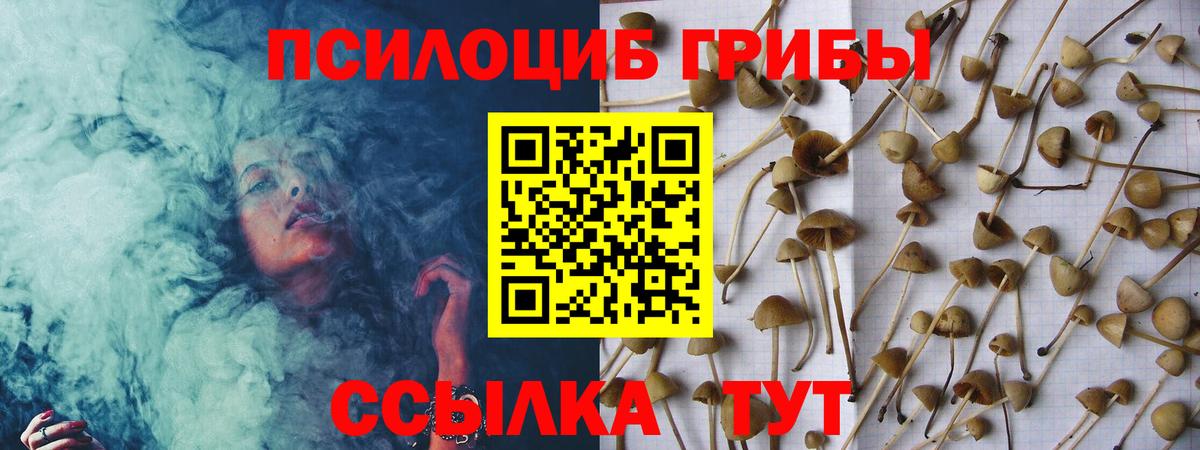 Галлюциногенные грибы MAGIC MUSHROOMS  Галлюциногенные грибы Psilocybe  Воркута 