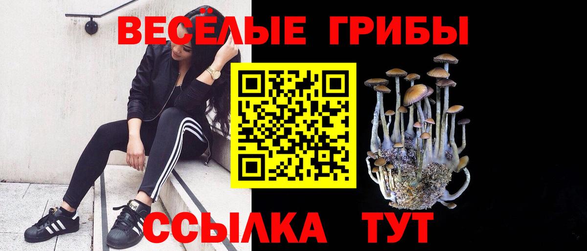 Галлюциногенные грибы MAGIC MUSHROOMS Воркута